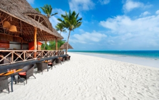 THY ile yeni uçuş noktamız Zanzibar - Troya Tur