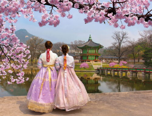 Kore’de Kışın Gezilecek Yerler: Eşsiz Kamelya Rotaları Rehberi